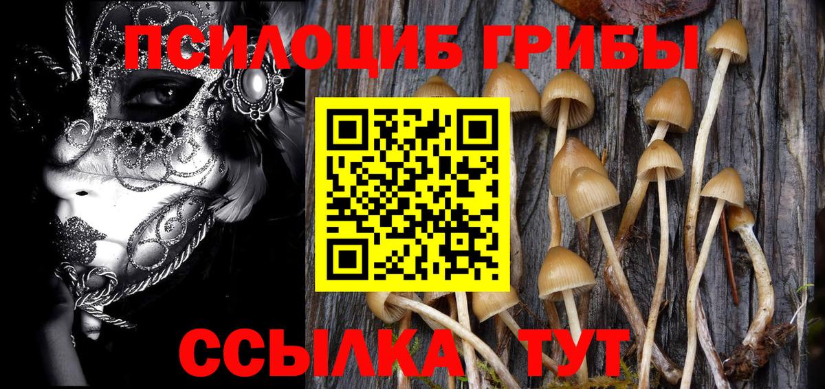 Галлюциногенные грибы мицелий Балашиха