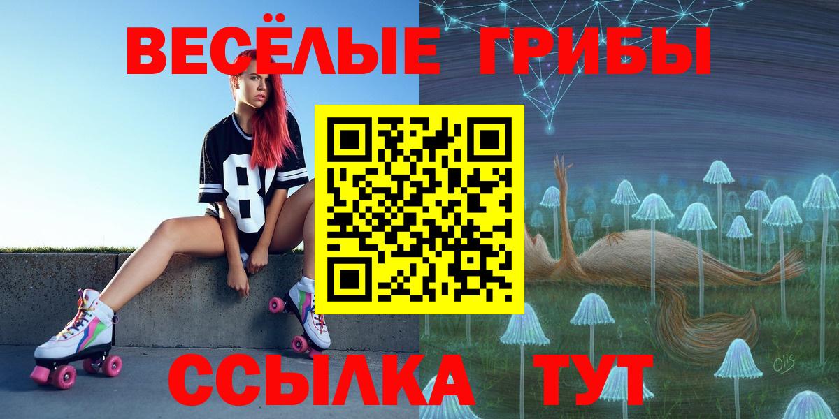 Балашиха  наркошоп  Вход с VPN  Галлюциногенные грибы Cubensis 